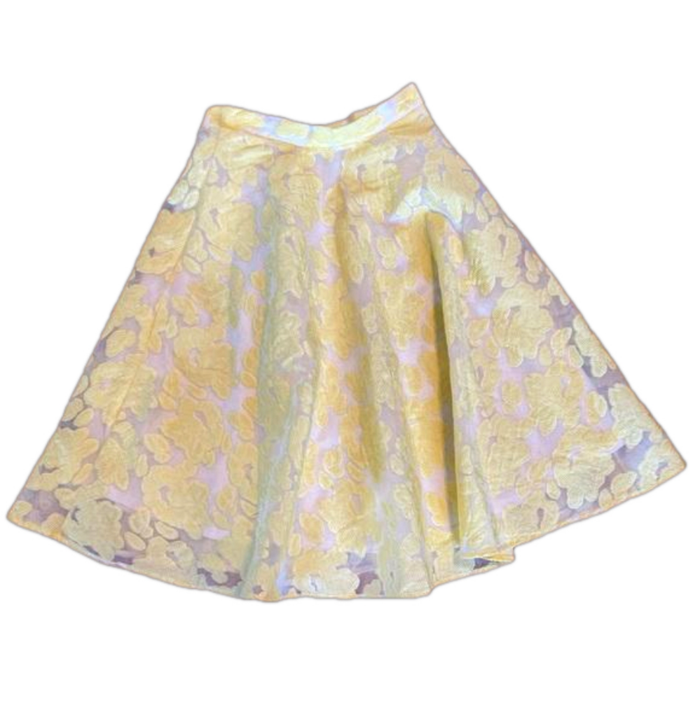 Birdcage A-Line Skirt- Size Small